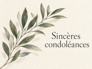 Sincères condoléances avec une branche d’olivier sur fond crème