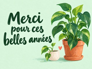Merci pour ces belles années avec une plante et une jeune pousse sur fond menthe